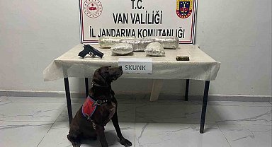 Van'da 4 kilo 311 gram skunk ve gümrük kaçağı malzeme ele geçirildi