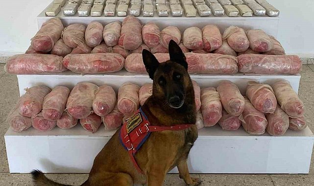 Van'da 67 kilo uyuşturucu ele geçirildi