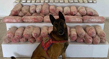 Van'da 67 kilo uyuşturucu ele geçirildi