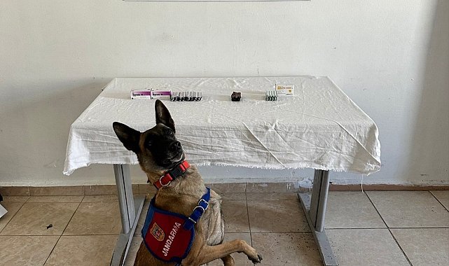 Van'da İran uyruklu şahsın üzerinden 380 adet sentetik hap ele geçirildi