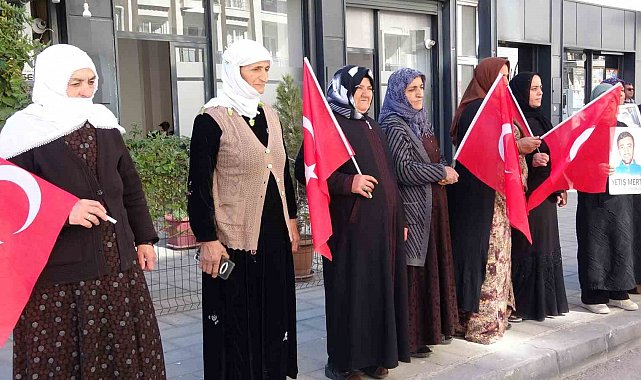 Vanlı annelerin evlat nöbeti 110'uncu haftasında