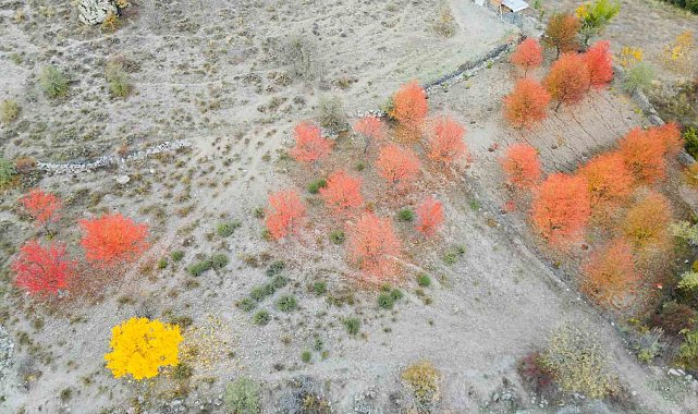Yağlı boya tablolarını andıran sonbahar manzarası