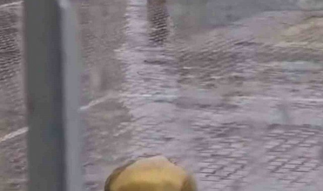 Yağmur altında İstiklal Marşı'na eşlik eden öğrenci duygulandırdı