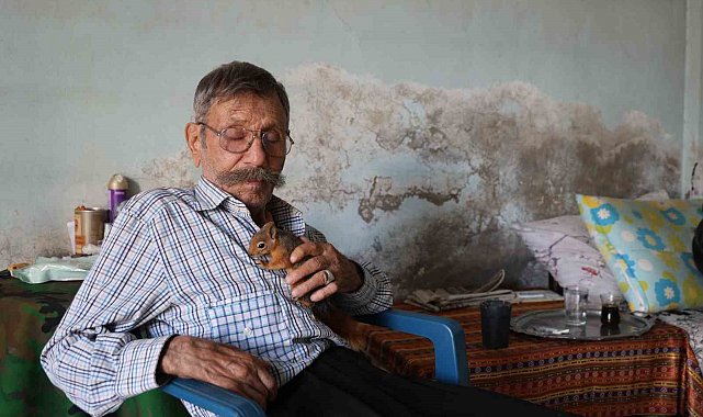 Yalnız kalmıştı, yavruyken kurtardığı 'sincap' dostu oldu