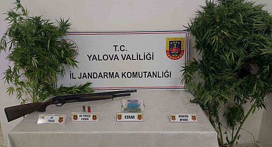 Yalova'da ormanlık alanda uyuşturucu yetiştiren 2 şüpheli yakalandı