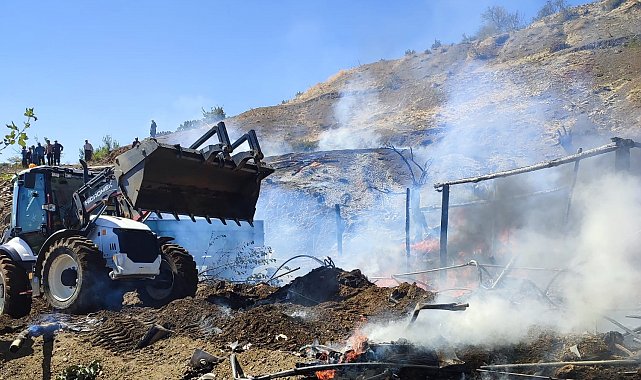 Yangında 13 küçükbaş hayvan telef oldu