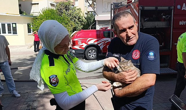 Yangında telef olduğu sanılan kedi dolabın arkasında saklanırken bulundu