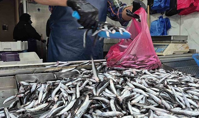 Yaz sıcakları palamudu vurdu, yerini hamsi aldı