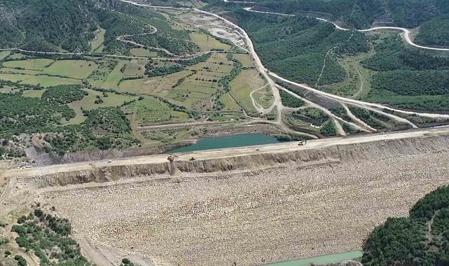 Yok olma tehlikesi bulunan 'bağ havacivası' bitkisi baraj suları altında kalmaktan kurtarıldı