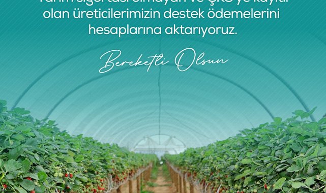 Zirai dondan etkilenen çiftçilere 13 milyar 221 milyon lira destek ödemesi yapılacak