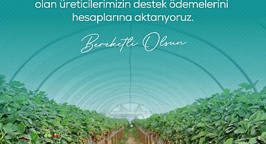 Zirai dondan etkilenen çiftçilere 13 milyar 221 milyon lira destek ödemesi yapılacak