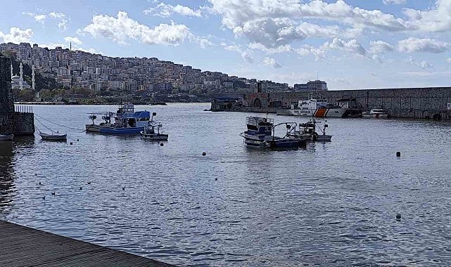 Zonguldak Limanı sarı renge boyandı