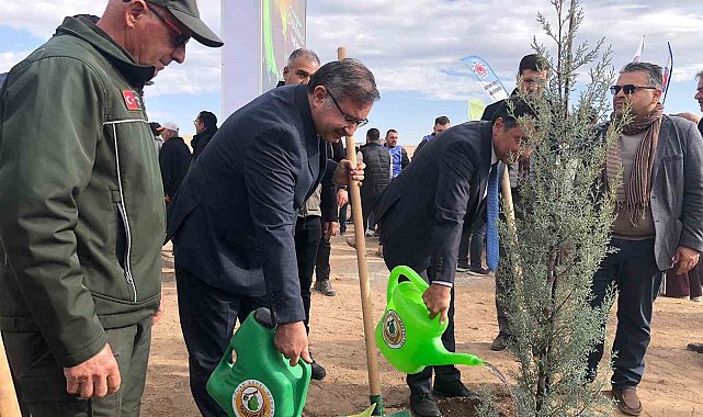 11 Kasım Milli Ağaçlandırma Günü'nde 20 bin fidan dikildi