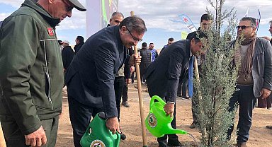 11 Kasım Milli Ağaçlandırma Günü'nde 20 bin fidan dikildi