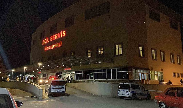 'Hayvan otlatma' kavgası kanlı bitti: Komşusunu öldürüp intihar etti