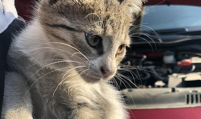 'Kontağı çevirmeden kaputa vurun' uyarısı