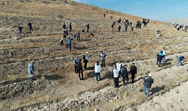 'Şahidimiz Toprak, İmzamız Fidan, Sevdamız Yeşil Vatan' Yahyalı'da hayat buldu