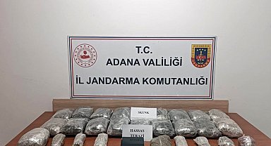 Adana'da 11 kilo skunk ele geçirildi