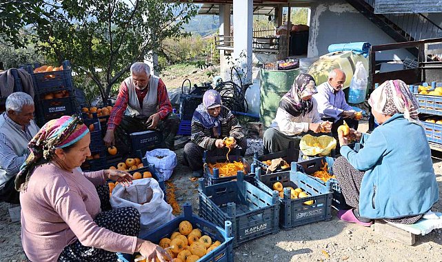 Adana'nın hurmalı köyü, açık fabrikaya dönüştü