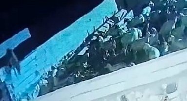 Ağıla giren kurt koyunu telef etti: O anlar kamerada