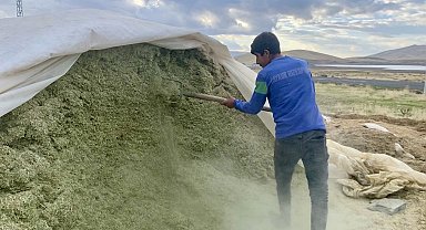 Ağrı'da besiciler kış hazırlıklarına başladı
