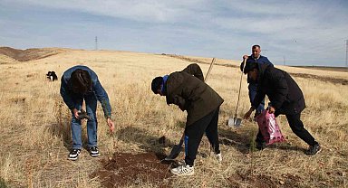 Ahlat'ta "Maziden Atiye" programı kapsamında öğrenciler fidan dikti