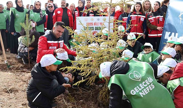 Aile Yılı'nda anlamlı buluşma: Aile Hatıra Ormanı'nda fidanlar toprakla buluştu