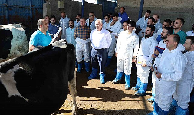 Aksaray'da 60 ilin personeline ineklerin başında uygulamalı eğitim