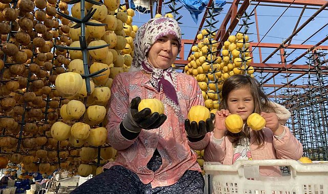 Alaşehir'de ilk kez 'Cennet Hurması Festivali' düzenlenecek