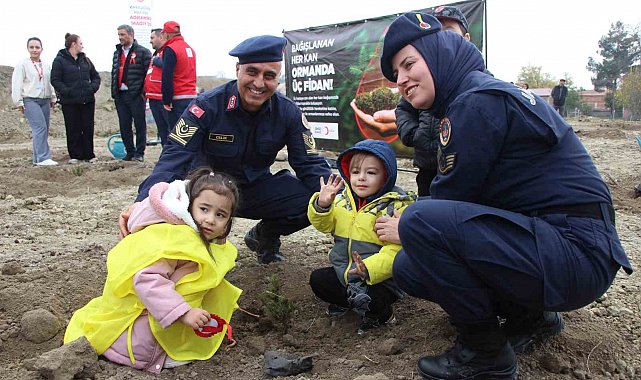 Amasya'da 4 binden fazla fidan toprakla buluştu