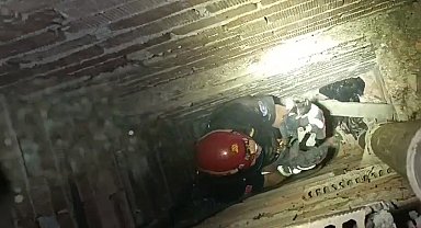 Apartman boşluğunda mahsur kalan yavru kediyi itfaiye kurtardı