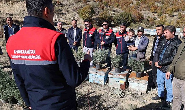 Arıcalara lavanta fidesi dağıtıldı