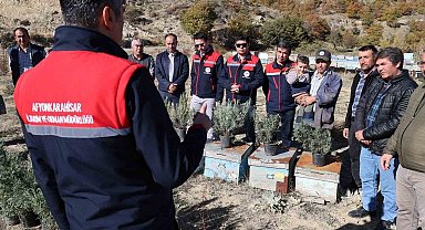 Arıcalara lavanta fidesi dağıtıldı