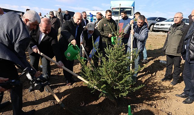 Arnavutköy'de Gazze için 10 bin fidan dikildi
