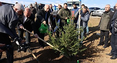 Arnavutköy'de Gazze için 10 bin fidan dikildi