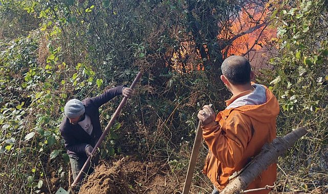 Artvin Hopa'da 5 hektarlık alanı küle çeviren yangınla mücadele sürüyor
