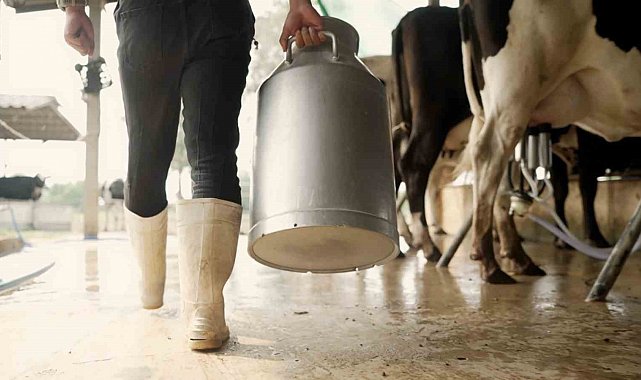 Aydın'da 9 bin 543 üreticiye toplam 66 milyon TL ödeme yapılacak