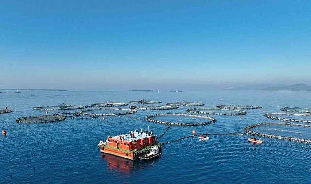 Aydın'da su ürünleri destekleme başvuruları başladı