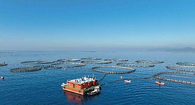 Aydın'da su ürünleri destekleme başvuruları başladı