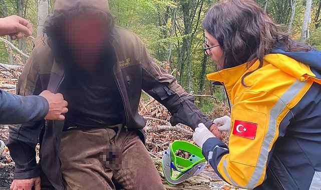 Ayının saldırısına uğrayan vatandaş için ekipler seferber oldu