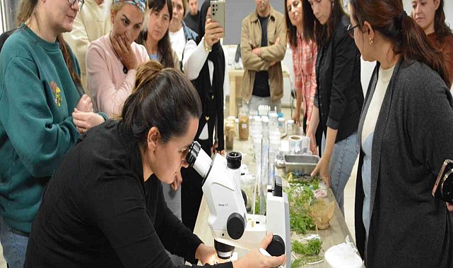 BAÇEM'de 5. Bitki Doku Kültürü kursu tamamlandı