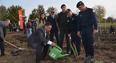 Bafra'da 8 bin fidan toprakla buluştu