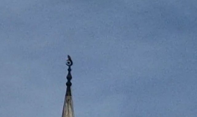 Bartın'da gökdoğan heyecanı