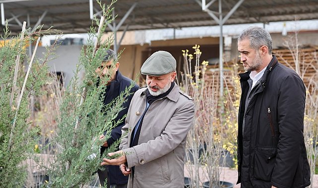 Başkan Çolakbayrakdar: "Kocasinan'ı her köşesiyle yeşile bürüyerek, şehrimizi yeşilin başkenti yapacağız"