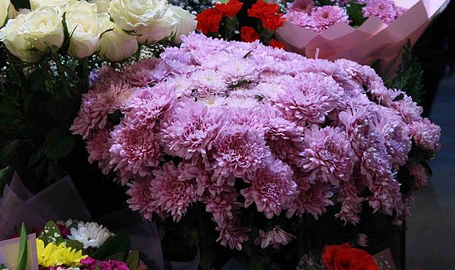 Başkent'te Öğretmenler Günü kasımpatıyla kutlanıyor