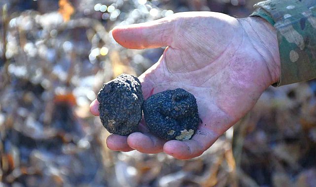 Bayburt 'Kara Elmas' ile tanışacak