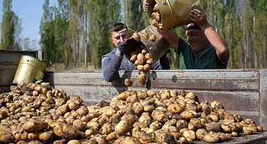 Bayburt'ta patates hasadı yüz güldürdü
