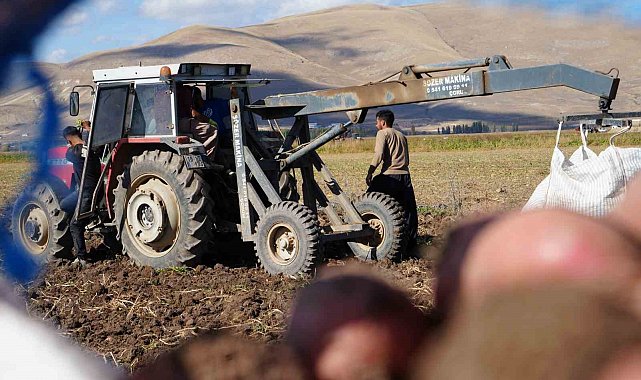 Bayburt'un Çayıryolu köyündeki patates hasadına İranlı işçiler destek veriyor