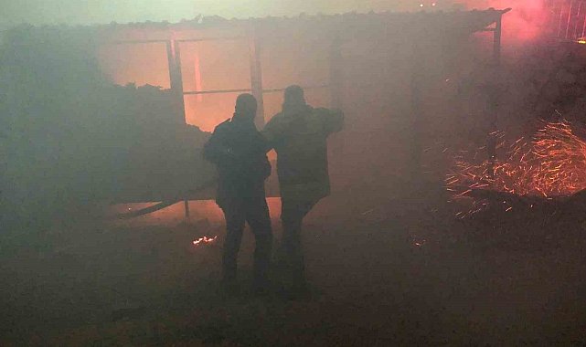 Besni'de konteyner yangını korkuttu