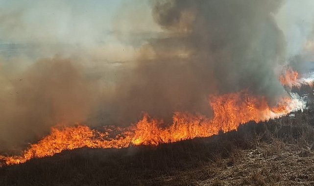 Beyşehir'de sazlıklar alev alev yandı